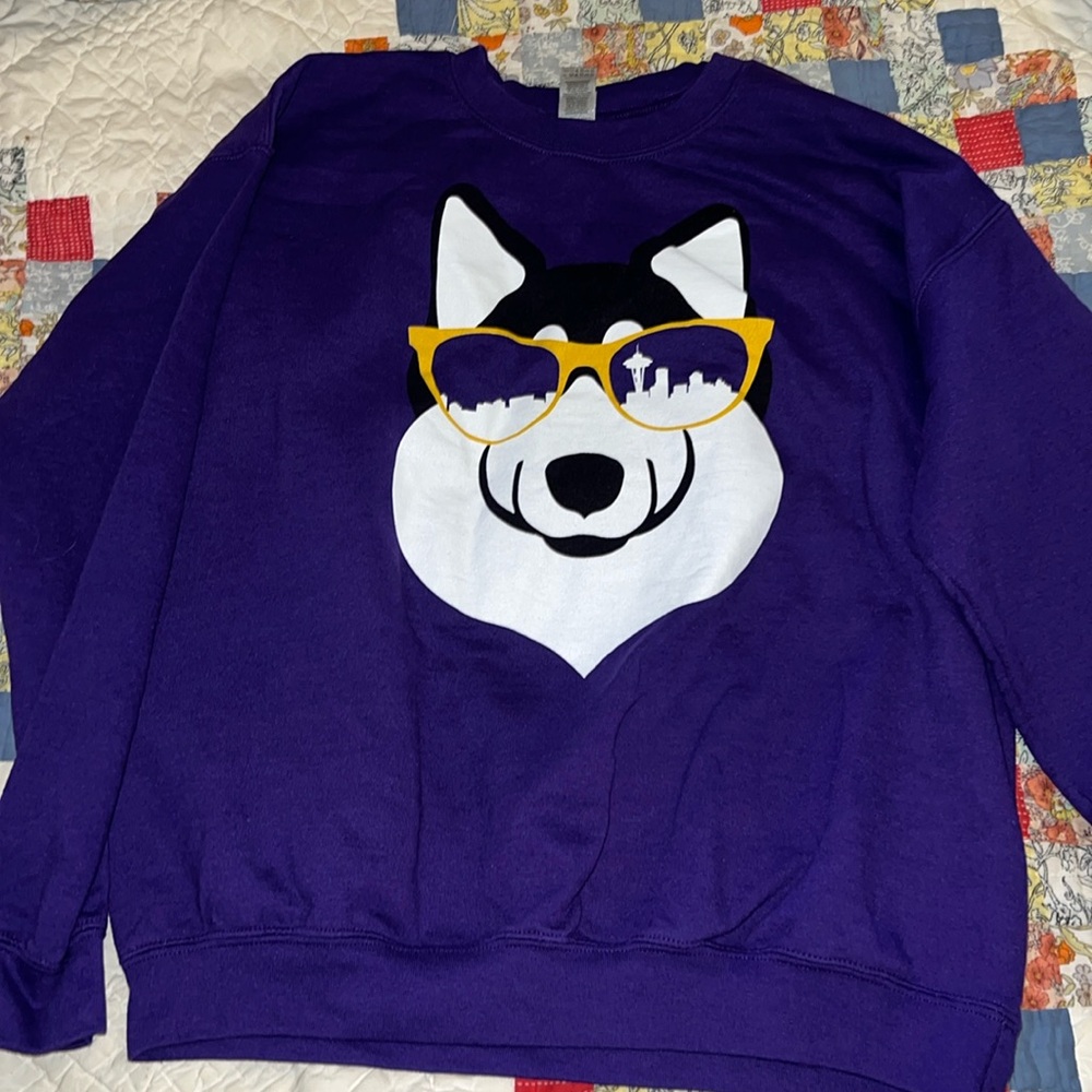 Vintage Y2K Gildan 90s University Washington Huskies sweatshirt space needle